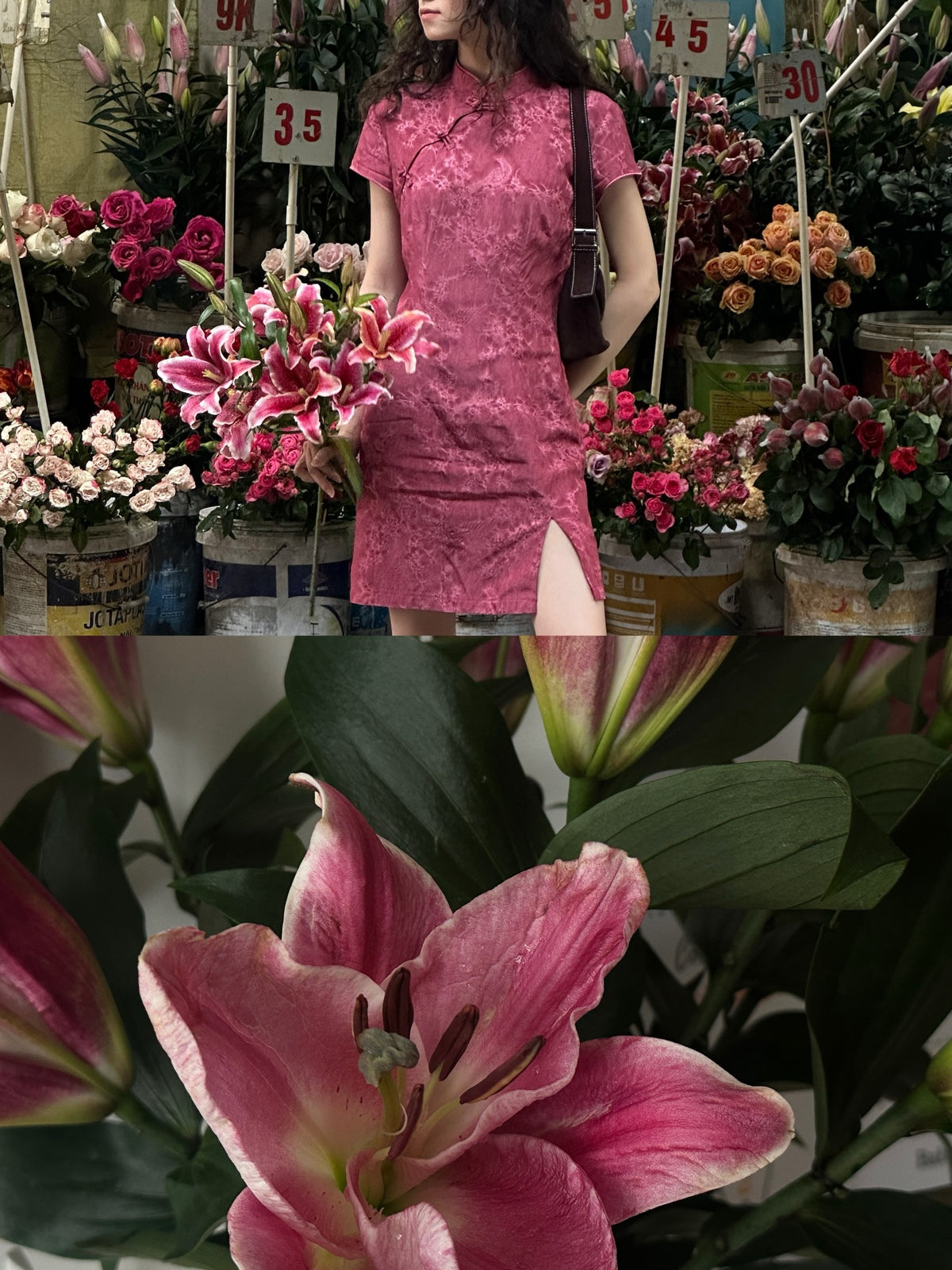 Hong Cam/Hong Uyen/Lam An Qipao